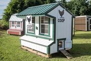Which is the best place to buy custom portable sheds?