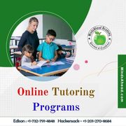 Online Tutoring Programs