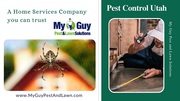 Pest Control services in Utah by My Guy Pest and Lawn