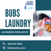 Laundry Services in Marysville,  WA