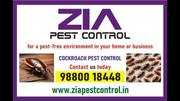 Zia Pest Control | 100% Safe Pest Solution CMS | Call Us Today | 257
